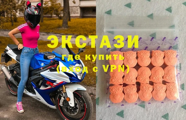 ECSTASY Алзамай